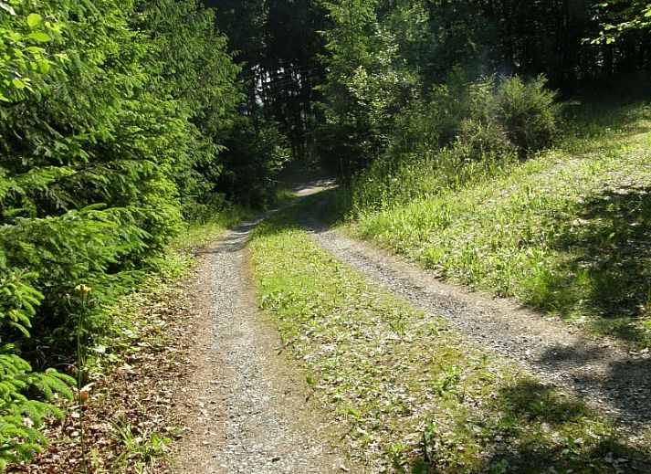 Atemberaubende Aussicht vom Balkon des Chalet Dion in Beauraing in den Ardennen, umgeben von viel Gruen.