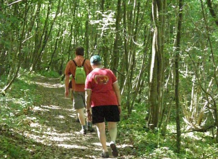 Atemberaubende Aussicht vom Balkon des Chalet Dion in Beauraing in den Ardennen, umgeben von viel Gruen.