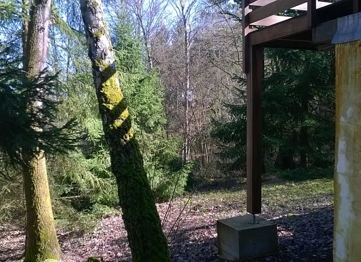 Modernes Wohnzimmer im Chalet Dion, Beauraing, Ardennen, mit Blick auf die umliegenden Waelder.