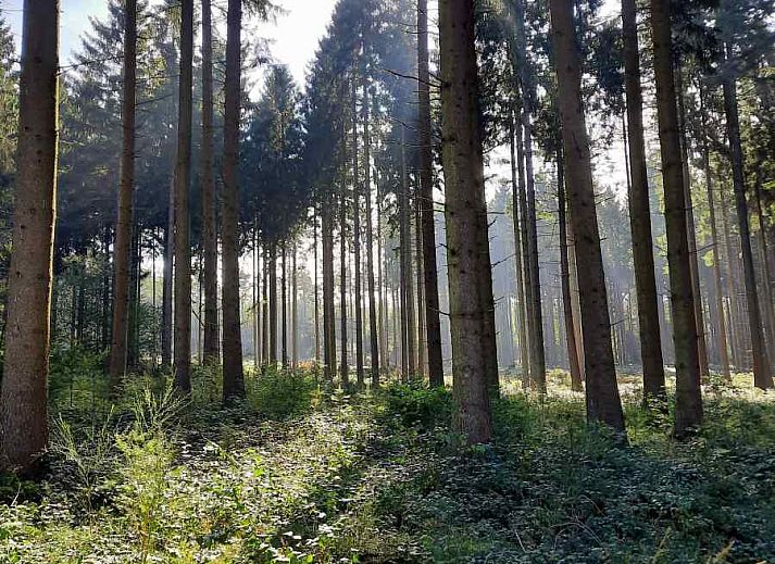 Gezellig terras met hottub bij vakantiehuis ARD138 in Han-sur-Lesse, Ardennen, Belgie.
