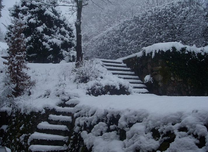 Le Mielandre vakantiehuis in Viroinval, Ardennen met stenen gevel en bloembakken.