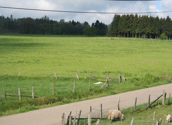 ARD112 vakantiehuis in Vielsalm, Ardennen met stenen gevel en kleurrijke ramen.