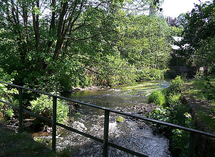 Guest house 090958 - Holiday property Luxembourg - Vakantiehuis Vielsalm