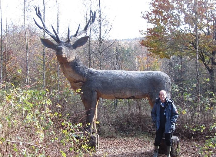 Moderne keuken in TOPLOCATIE Gite Zwaluwnest vakantiehuis in Herresbach, Ardennen, Belgie.