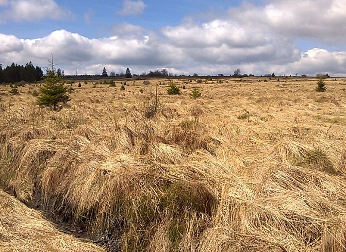 Moderne keuken in TOPLOCATIE Gite Zwaluwnest vakantiehuis in Herresbach, Ardennen, Belgie.
