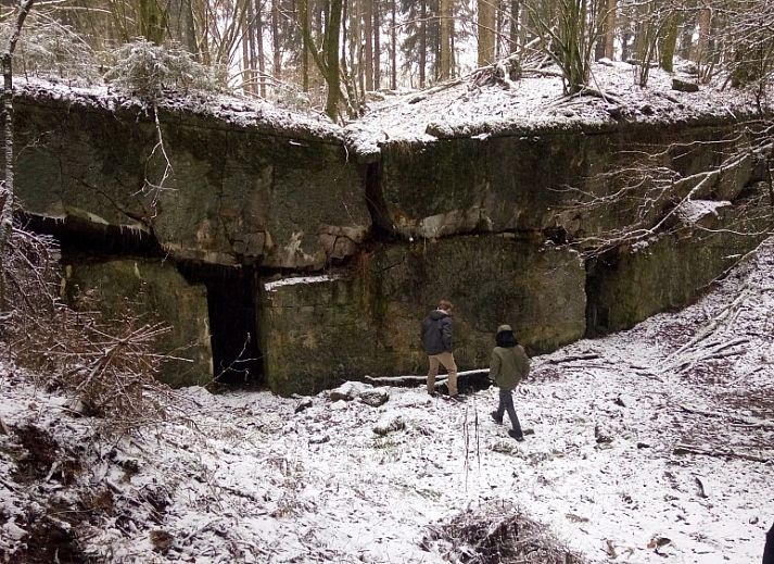 Knusse slaapkamer met hoogslaper in TOPLOCATIE Gite Zwaluwnest vakantiehuis in Herresbach, Ardennen, Belgie.