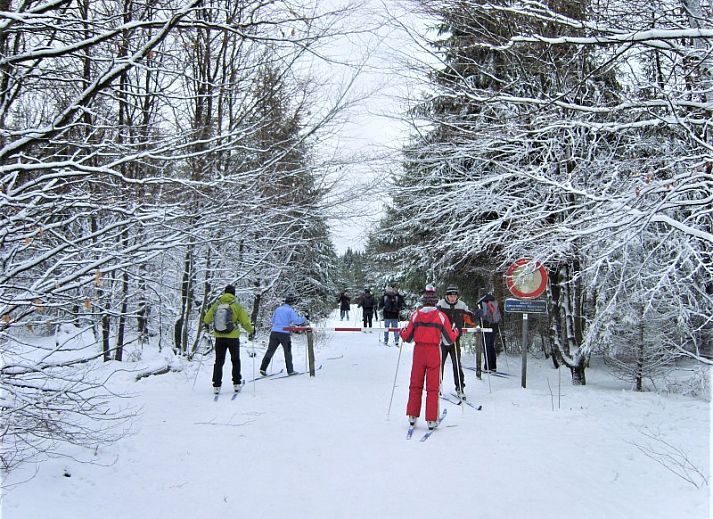 Knusse slaapkamer met hoogslaper in TOPLOCATIE Gite Zwaluwnest vakantiehuis in Herresbach, Ardennen, Belgie.