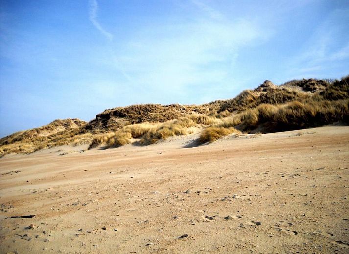 Guest house 091121 - Apartment Belgian Coast - Lautrec