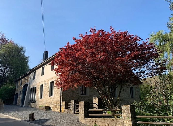 Unterkunft 0911811 - Ferienhaus Luxemburg - Vakantiehuisje in Redu