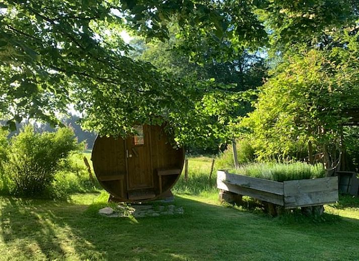 Guest house 091221 - Holiday property Luxembourg - Vakantiehuisje in Dochamps