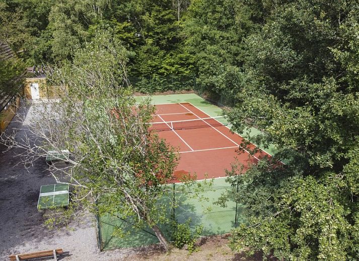 Gezellige woonkamer van Chalet Vakantiehuis Durbuy Belgische Ardennen met uitzicht op bosrijke omgeving in Durbuy, Ardennen.