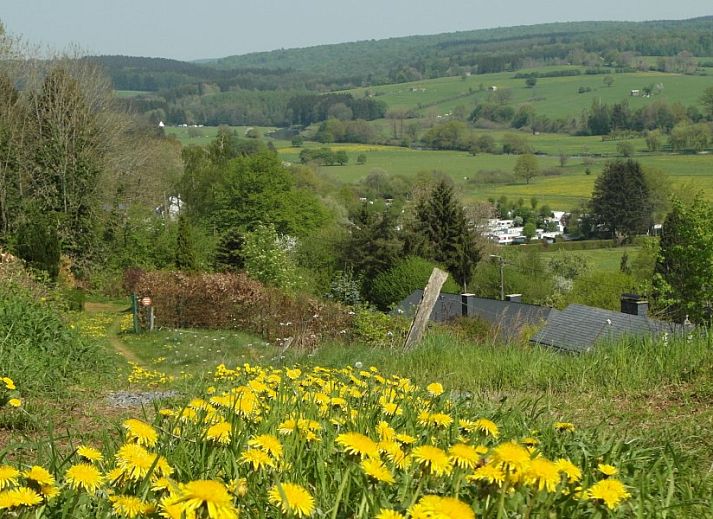 Ruim terras van Chalet Vakantiehuis Durbuy Belgische Ardennen omgeven door groen in Durbuy, Ardennen, Belgie.