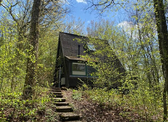 Chalet Du Bois IV in Durbuy, Ardennes, Belgium surrounded by green nature, perfect for a relaxing vacation rental experience.