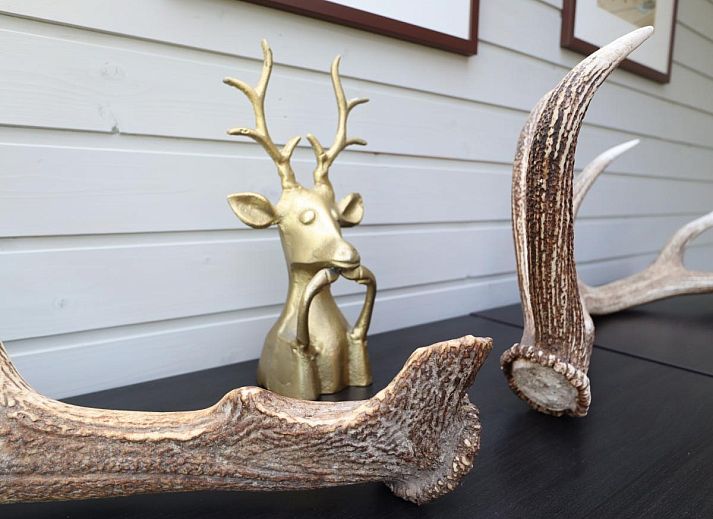 Guest house 0916217 - Chalet Luxembourg - Myrabelle