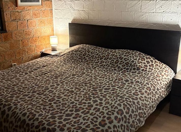 Cozy living room in Holiday home in Izier, Ardennes, Belgium with comfortable seating area and atmospheric lighting.