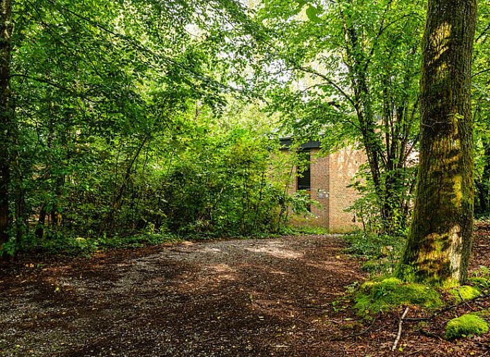 Unterkunft 091717 - Ferienhaus Luxemburg - Vakantiehuisje in Izier