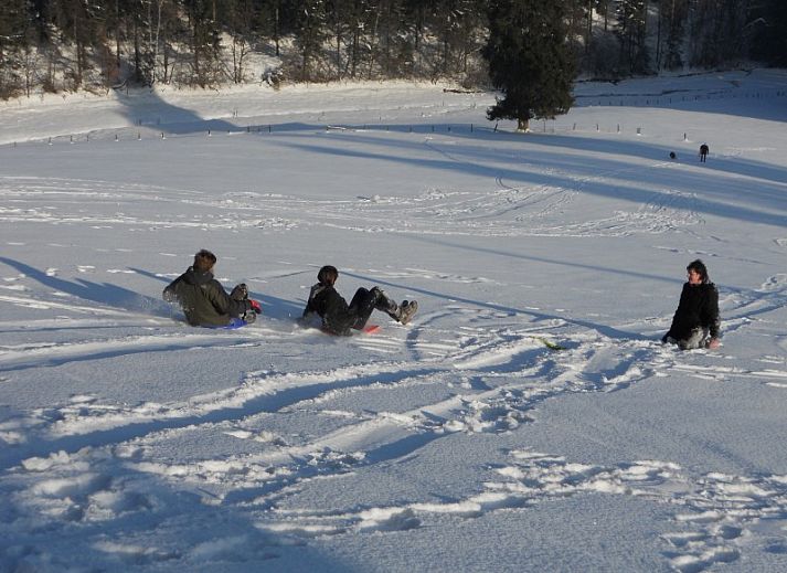 Voetbalveld in de tuin van Haus Turbes Volksspelen-Cafe Rene vakantiehuis in Herresbach, Ardennen, Belgie.