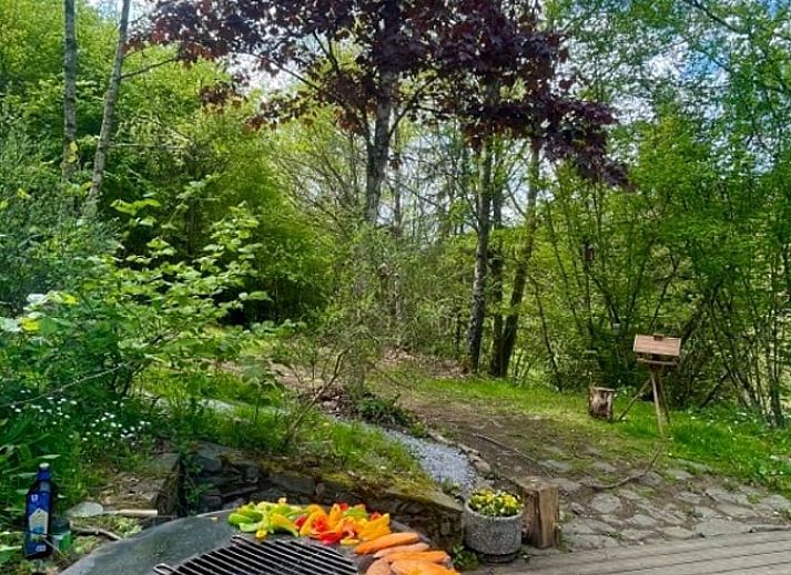 Unterkunft 0921801 - Chalet Luxemburg - Huisje in BERTOGNE ( GIVROULLE)