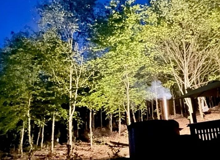 Unterkunft 0921801 - Chalet Luxemburg - Huisje in BERTOGNE ( GIVROULLE)