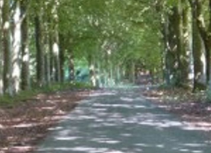 Historische toren van Vakantiehuisje in Longchamps Bertogne omgeven door groen, Ardennen, Luxemburg, Belgie.
