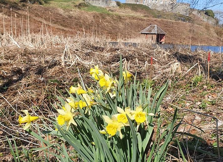 Rustgevende vijver bij Vakantiehuisje in Longchamps Bertogne in de natuurlijke omgeving van de Ardennen, Luxemburg, Belgie.