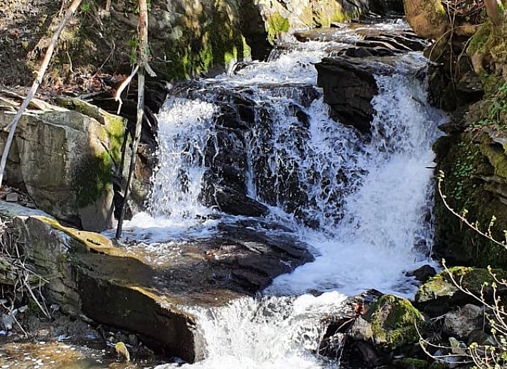 Rustgevende vijver bij Vakantiehuisje in Longchamps Bertogne in de natuurlijke omgeving van de Ardennen, Luxemburg, Belgie.