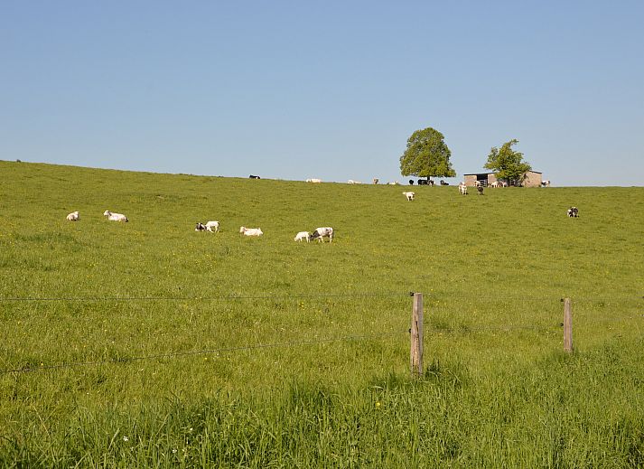 Guest house 0923201 - Holiday property Luxembourg - Le Tilleul