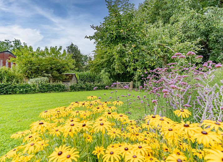 Charming vacation home in Ortho, Ardennes with a beautiful terrace and flower garden in Luxembourg, Belgium.