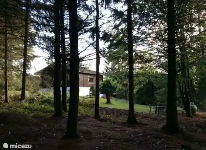 Guest house 0925586 - Chalet Luxembourg - Chalet BuiTen-geWoon