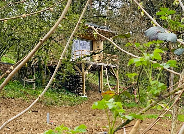 Guest house 092602 • Holiday property Luxembourg • Vakantiehuis in Marcourt