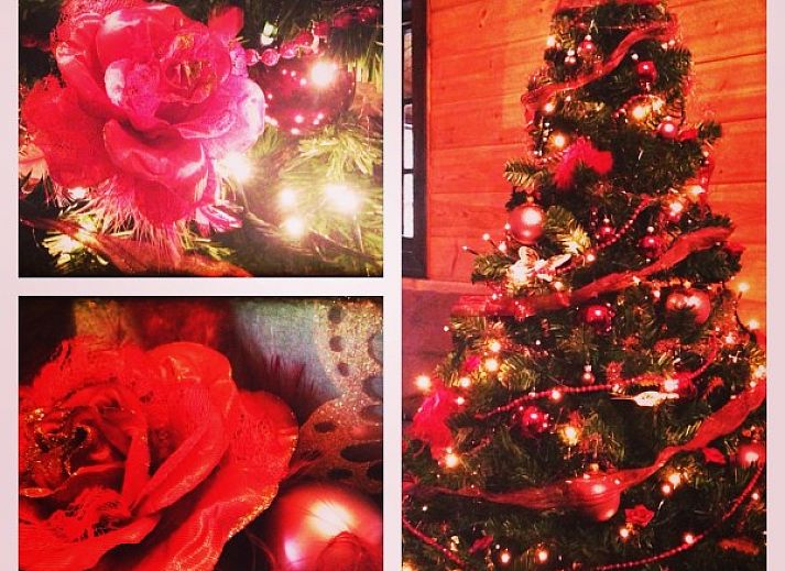 Zijaanzicht van Chalet Ma Reine in de Ardennen, Remouchamps, omgeven door natuur.