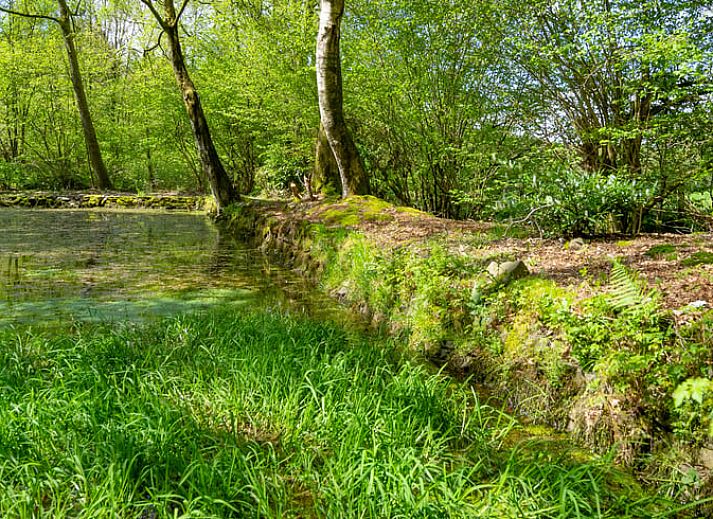 Vacation home in Vesqueville, spacious house surrounded by nature in the Ardennes, Luxembourg, Belgium.