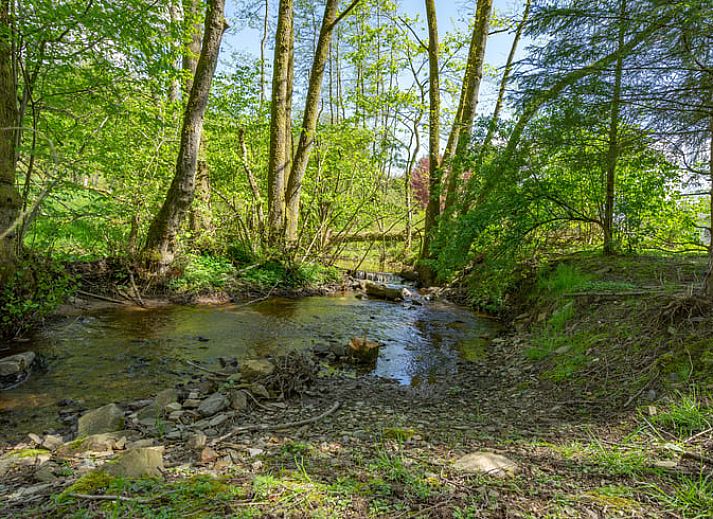Cottage in Vesqueville, attractive wooden terrace on a stream in the Ardennes, Luxembourg, Belgium.