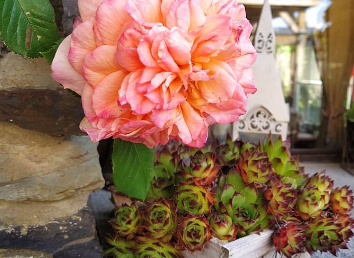 Uitzicht op groene omgeving vanaf het terras van Vakantiehuis in Bertogne, bed and breakfast in de Ardennen, Belgie.