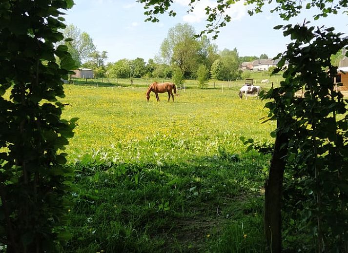 Gezellig buitenterras bij Vakantiehuis in Bertogne, bed and breakfast in de Ardennen, Luxemburg, Belgie.
