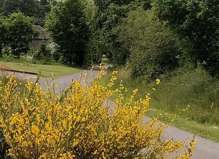 Gezellig buitenterras bij Vakantiehuis in Bertogne, bed and breakfast in de Ardennen, Luxemburg, Belgie.