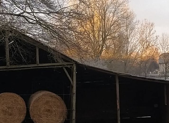 Gezellig buitenterras bij Vakantiehuis in Bertogne, bed and breakfast in de Ardennen, Luxemburg, Belgie.