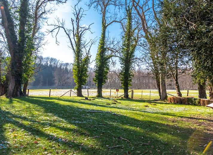 Stijlvolle eetkamer met houten meubels in Huisje in Villers-Devant-Orval, vakantiehuis in de Ardennen, Belgie, voor een warme sfeer.