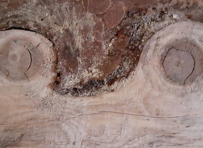 Unterkunft 0936905 - Ferienhaus Luxemburg - Vakantiehuis in Grandmenil