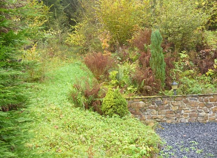 Unterkunft 094003 - Ferienhaus Luxemburg - Huisje in Tenneville