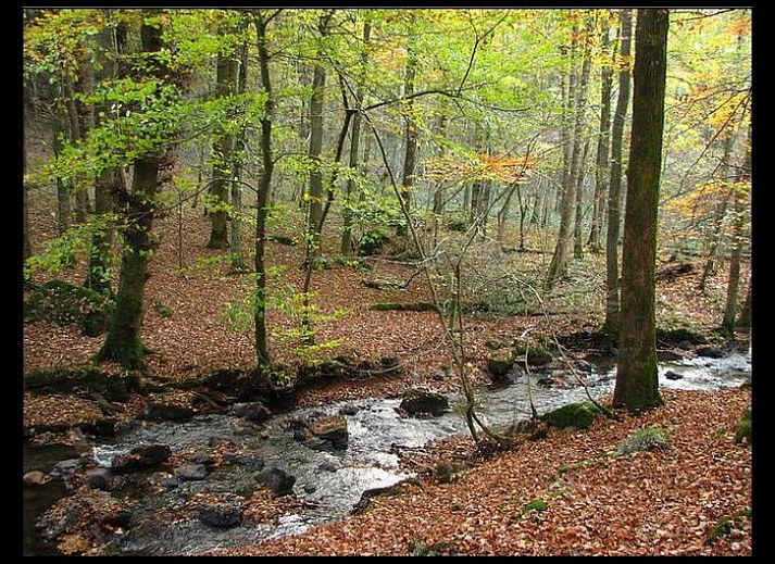 Verblijf 0943802 - Vakantiewoning Ardennen (Luxemburg) - L' Antre Nous