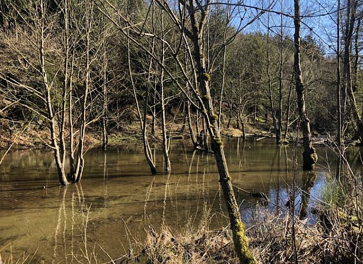 Guest house 0944604 - Holiday property Luxembourg - Vakantiehuis in Achouffe-Houffalize