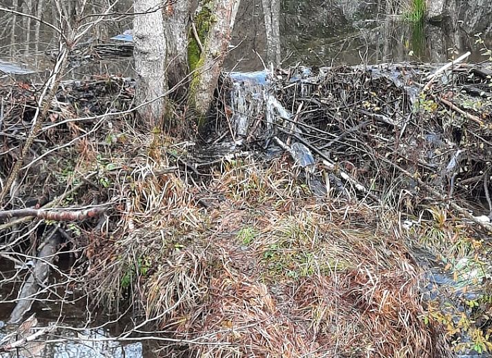 Guest house 0944604 - Holiday property Luxembourg - Vakantiehuis in Achouffe-Houffalize