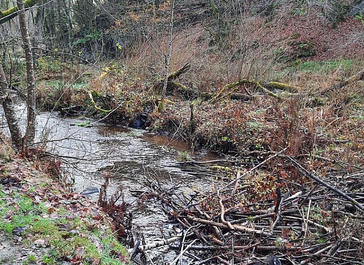 Guest house 0944604 - Holiday property Luxembourg - Vakantiehuis in Achouffe-Houffalize