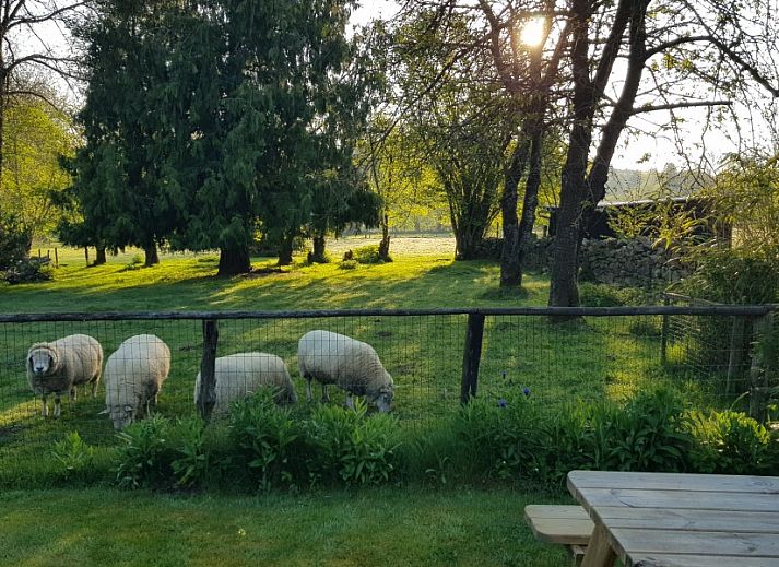 Guest house 0945402 - Holiday property Luxembourg - Le Burton