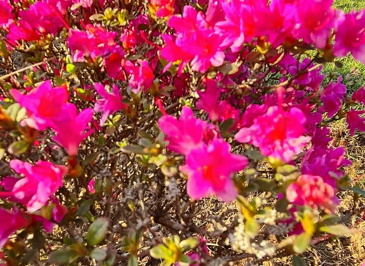 Guest house 0949404 - Holiday property Luxembourg - Vakantiehuis Antre Parenthèse de Sainte-Cécile