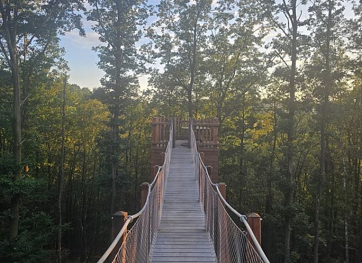 Guest house 095305 - Holiday property Luxembourg - Vakantiehuis in Odeigne