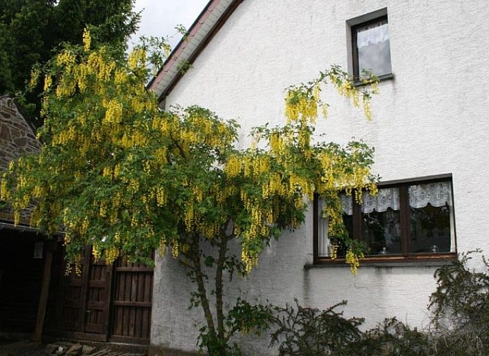 Charming Cottage in Buisson, vacation home in Ardennes, Luxembourg, Belgium with rustic stone facade and colorful flowers.