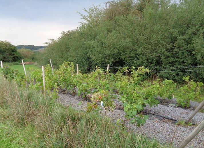 Functionele keuken in La Terra, vakantiehuis Durbuy, met uitzicht op de natuur.