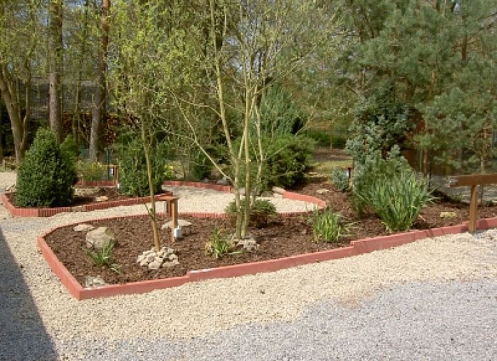 Chalet du bois in Biron, Ardennes with an inviting terrace surrounded by green nature.